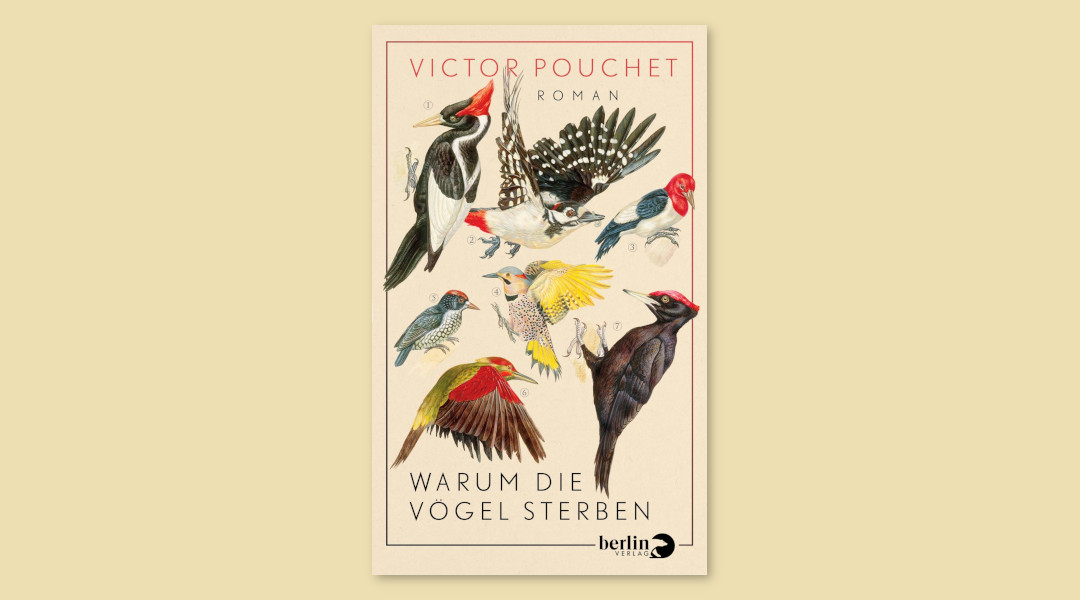 Das Cover von Warum die Vögel sterben zeigt verschiedene Vögel.