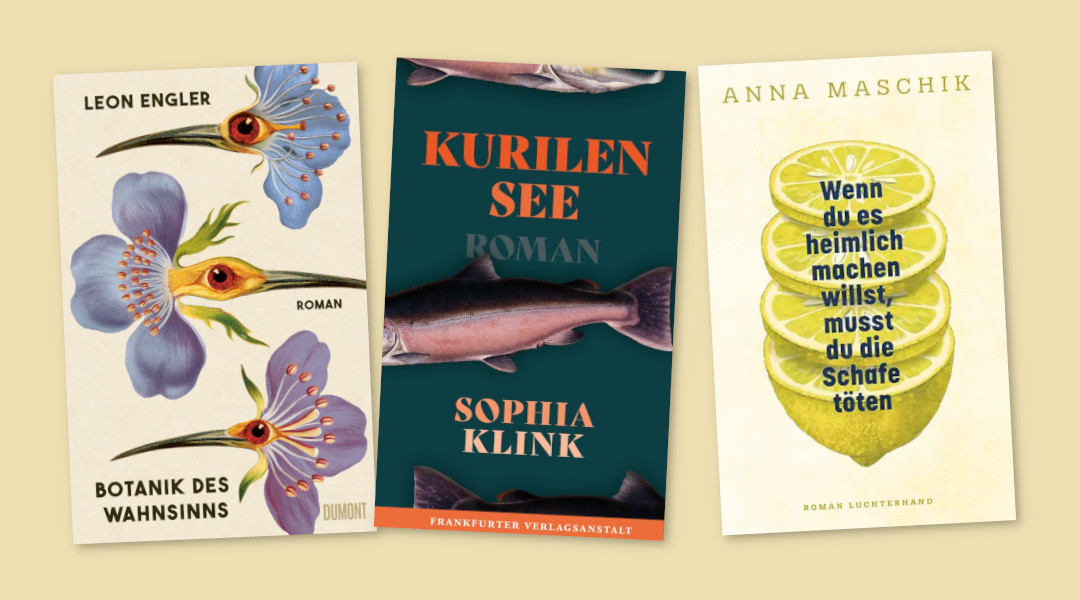 DebütsHerbst25 Die Cover dreier Debütromane