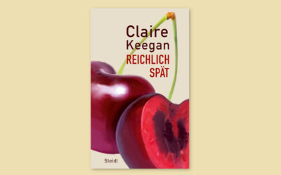 Zwischen alltäglicher Misogynie und Kirschtarte